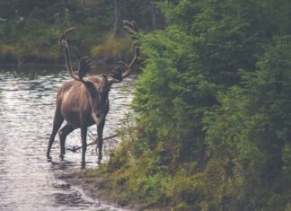 5 Ways to Visit Downtown Tokyo in the Summer