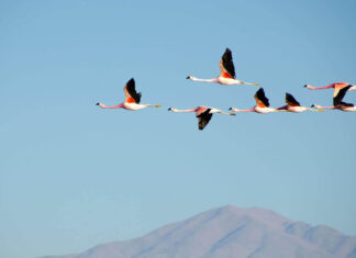 Top South Africa Attractions in the Winter