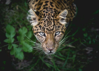 Where to Find the Best Food Around Shanghai